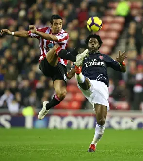 Sunderland V Arsenal 2009-10 Prints: Alex Song vs. Kieran Richardson: Arsenal's Victory at Sunderland (1:0)