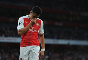 Arsenal V Sunderland 2016-17 Prints: Alexis Sanchez in Action: Arsenal vs. Sunderland, Premier League 2016-17