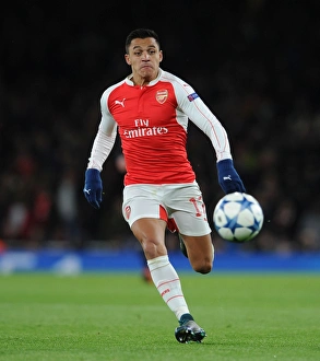 Arsenal V Dinamo Zagreb 2015-16 Prints: Alexis Sanchez in Action: Arsenal vs Dinamo Zagreb, 2015-16 UEFA Champions League