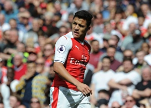 Arsenal V Everton 2016-17 Prints: Alexis Sanchez in Action: Arsenal vs Everton, Premier League 2016-17