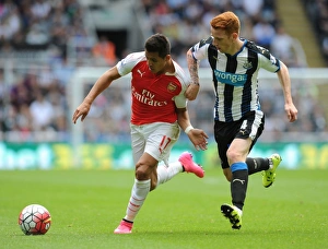 Newcastle United V Arsenal 2015-16 Prints: Alexis Sanchez Surges Past Jack Colback