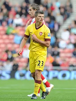 Andrey Arsahvin (Arsenal). Sunderland 1: 1 Arsenal, Barclays Premier League