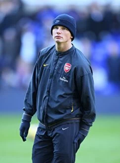 Images Dated 8th February 2009: Andrey Arshavin (Arsenal)