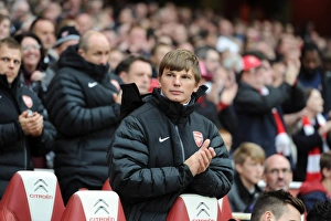 Andrey Arshavin (Arsenal). Arsenal 3: 3 Fulham. Barclays Premier League. Emirates Stadium, 10 / 11 / 12