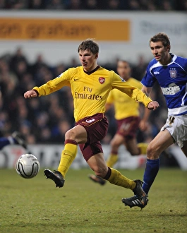 Ipswich Town v Arsenal Carling Cup 2010-11 Collection: Andrey Arshavin (Arsenal) Gareth McAuley (Ipswich). Ipswich Town 1: 0 Arsenal