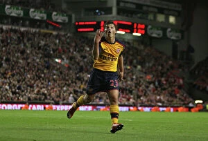 Liverpool v Arsenal 2008-9 Collection: Andrey Arshavin celebrates scoring the 4th Arsenal goal