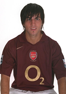 Arsenal 1st Team Photocall. Arsenal Stadium, Highbury, London, 4/8/05
