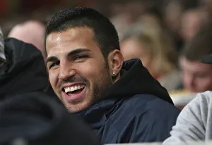 Images Dated 16th February 2009: Arsenal captain Cesc Fabregas