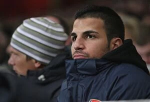 Images Dated 16th February 2009: Arsenal captain Cesc Fabregas