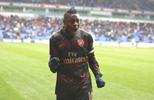 Images Dated 31st March 2008: Arsenal captain William Gallas celebrates the 3rd Arsenal goal