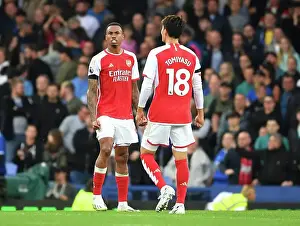 Arsenal Celebrate Victory Over Everton in 2023-24 Premier League
