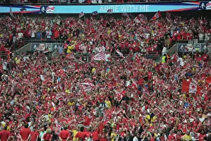 Arsenal FA Cup Final at Wembley: Fans Unwavering Support and Hope (Arsenal vs. Hull City, 2014)