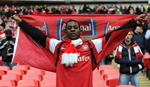 Arsenal V Birmingham City - Carlin Cup Final 2010-11 Prints: Arsenal fan. Arsenal 1: 2 Birmingham City. Carling Cup Final. Wembley Stadium, 27 / 2 / 11
