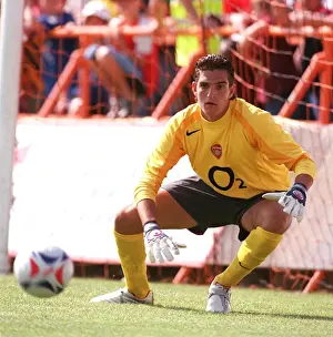 Arsenal FC: Mannone Vito - The Gunners Tenacious Goalkeeper