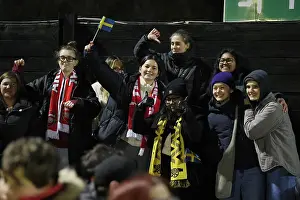 Arsenal FC: A Sea of Passionate Fans - West Ham United vs. Arsenal, Barclays Women's Super League