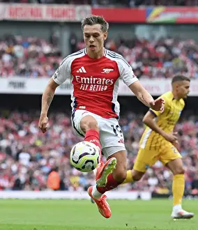 Arsenal FC v Brighton & Hove Albion FC - Premier League