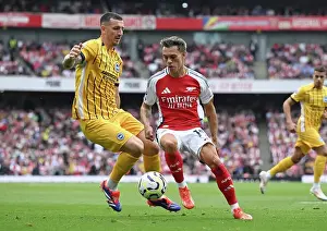 Arsenal FC v Brighton & Hove Albion FC - Premier League