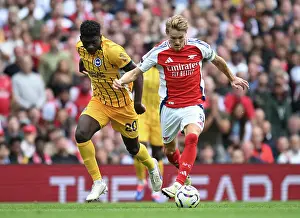 Arsenal FC v Brighton & Hove Albion FC - Premier League Arsenal FC v Brighton & Hove Albion FC - Premier League