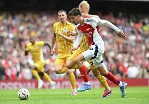 Arsenal FC v Brighton & Hove Albion FC - Premier League Arsenal FC v Brighton & Hove Albion FC - Premier League