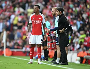 Arsenal FC v Brighton & Hove Albion FC - Premier League Arsenal FC v Brighton & Hove Albion FC - Premier League