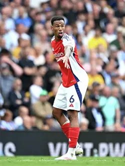 Arsenal FC v Brighton & Hove Albion FC - Premier League Arsenal FC v Brighton & Hove Albion FC - Premier League