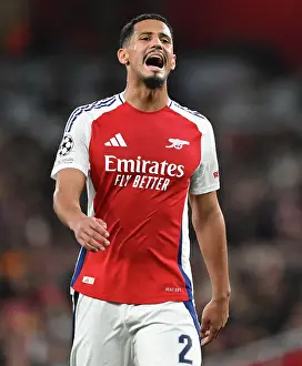 Arsenal V Shakhtar Donetsk 2024-25 Prints: Arsenal FC v FC Shakhtar Donetsk - UEFA Champions League 2024/25 League Phase MD3