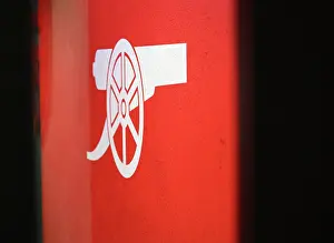 Arsenal V Newcastle United 2024-25 Prints: Arsenal FC v Newcastle United FC - Premier League