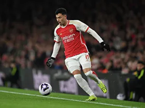 Arsenal FC v Newcastle United - Premier League