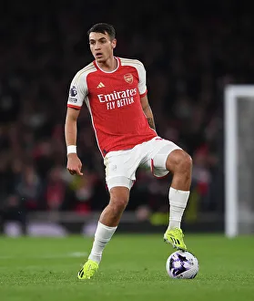 Arsenal FC v Newcastle United - Premier League