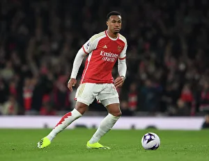 Arsenal FC v Newcastle United - Premier League