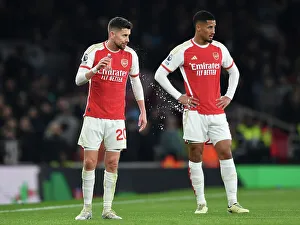 Arsenal V Newcastle United 2023-24 Prints: Arsenal FC v Newcastle United - Premier League
