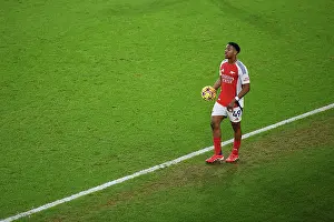Arsenal FC v Tottenham Hotspur FC - Premier League