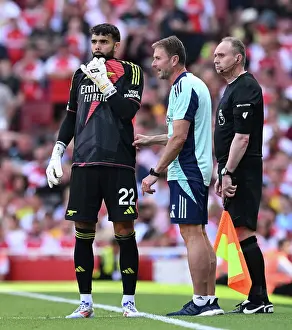 Arsenal FC v Wolverhampton Wanderers FC - Premier League