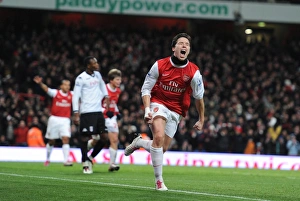Arsenal FC vs Fulham: 2010-11 Season Match