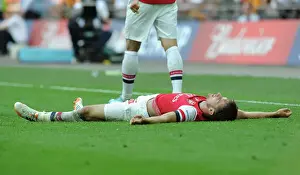 Arsenal FC Wins FA Cup: Ramsey's Decisive Goal Against Hull City (2014)