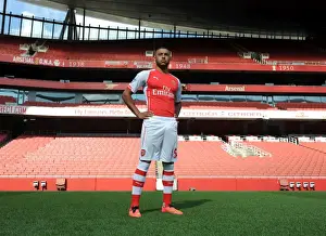 Arsenal Photocall 2014/15 Prints: Arsenal Football Club: Alex Oxlade-Chamberlain at Emirates Stadium (2014)