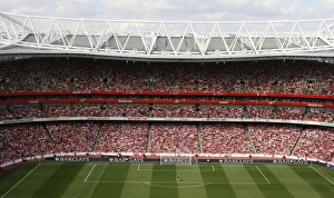 Images Dated 22nd August 2009: Arsenal goalkeeper Manuel Almunia at Emirates Stadium