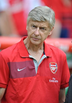 Arsenal at Hannover 96: 2009-10 Season Match