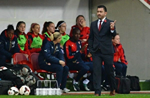 Arsenal Ladies vs Notts County Ladies: FA WSL Continental Cup Final (November 1, 2015)