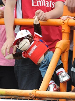 Arsenal monkey enjoys the match. Barnet 0: 4 Arsenal, Pre season friendly