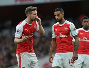 Arsenal V Middlesbrough 2016-17 Prints: Arsenal: Mustafi and Walcott in Action against Middlesbrough (2016-17)