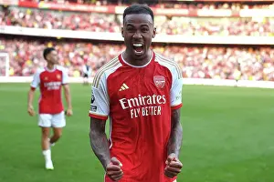 Arsenal Triumphs Over Manchester United in Premier League: 2023-24 Season