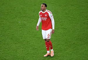 Arsenal v Aston Villa - Premier League