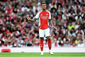 Arsenal v Bayer 04 Leverkusen - Pre-Season Friendly