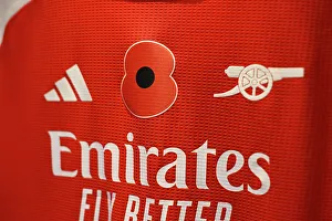 Arsenal Women V Brighton And Hove Albion Women 2024-25 Prints: Arsenal v Brighton & Hove Albion - Barclays Women's Super League Arsenal v Brighton & Hove Albion - Barclays