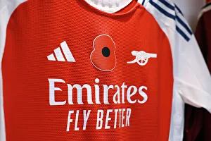 Arsenal Women V Brighton And Hove Albion Women 2024-25 Prints: Arsenal v Brighton & Hove Albion - Barclays Women's Super League Arsenal v Brighton & Hove Albion - Barclays