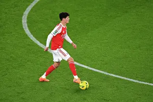 Arsenal v Brighton & Hove Albion - Carabao Cup Fourth Round<br> Arsenal v Brighton & Hove Albion - Carabao Cup Fourth Round