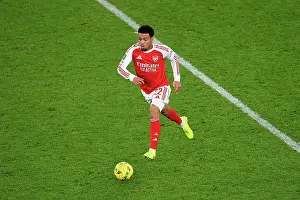 Arsenal v Brighton & Hove Albion - Carabao Cup Fourth Round<br> Arsenal v Brighton & Hove Albion - Carabao Cup Fourth Round