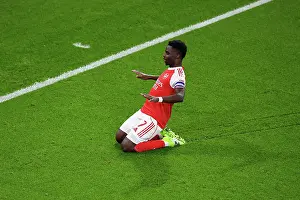 Arsenal v Brighton & Hove Albion - Carabao Cup Fourth Round<br> Arsenal v Brighton & Hove Albion - Carabao Cup Fourth Round