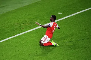 Arsenal v Brighton & Hove Albion - Carabao Cup Fourth Round<br> Arsenal v Brighton & Hove Albion - Carabao Cup Fourth Round